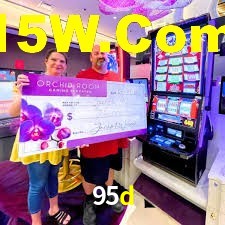 95d App Interface